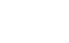 MDT travel logo